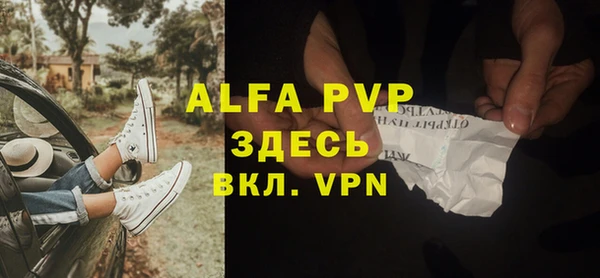 крисы Белокуриха