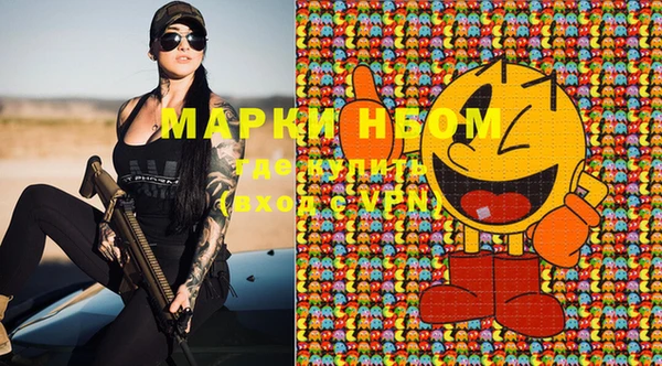 крисы Белокуриха