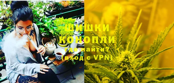 крисы Белокуриха