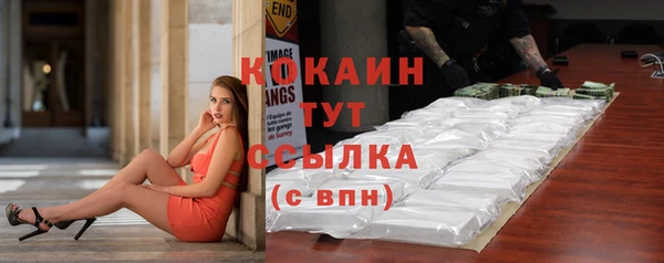крисы Белокуриха