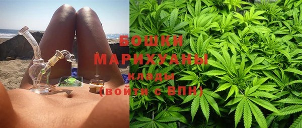 крисы Белокуриха