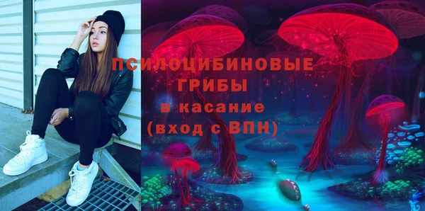 крисы Белокуриха