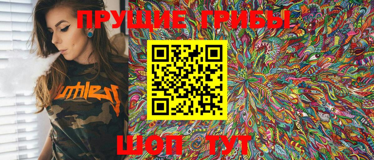 Псилоцибиновые грибы Psilocybine cubensis  Вход с VPN  Галлюциногенные грибы Psilocybe  Богданович 